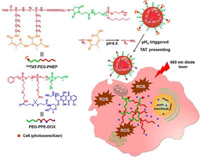 Tumor pH-Responsive Nanocarriers With Light-Activatable Drug Release for Chemo-Photodynamic Therapy of Breast Cancer